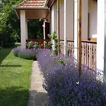 Nosztalgia