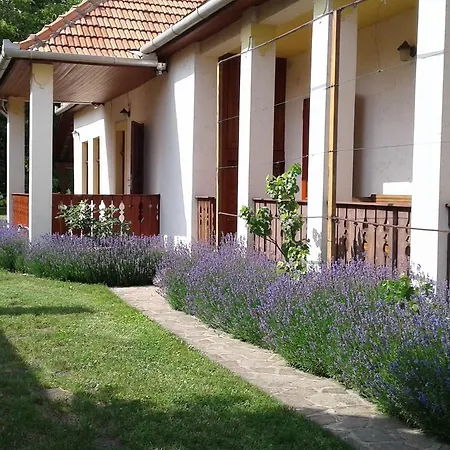 Nosztalgia *