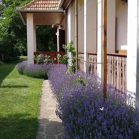 Nosztalgia Vendeghaz